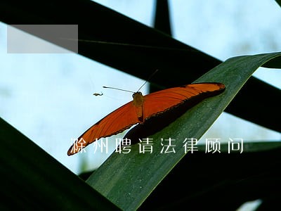 滁州聘请法律顾问 滁州聘请法律顾问