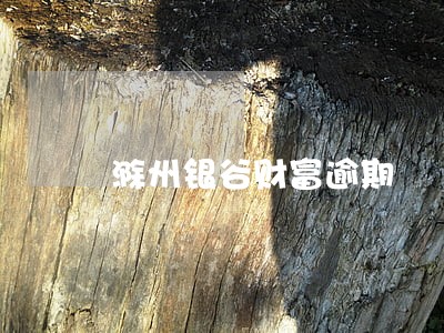 滁州银谷财富逾期