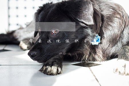 滑县法院组织干警 滑县法院组织干警