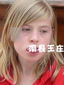 滑县王庄法院在哪 滑县王庄法院在哪