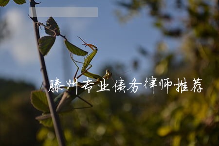 滕州专业债务律师推荐 滕州专业债务律师推荐