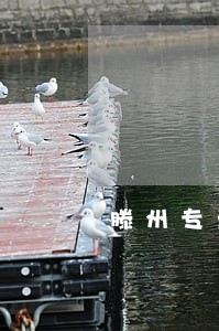 滕州专业债务律师费用标准 滕州专业债务律师费用标准