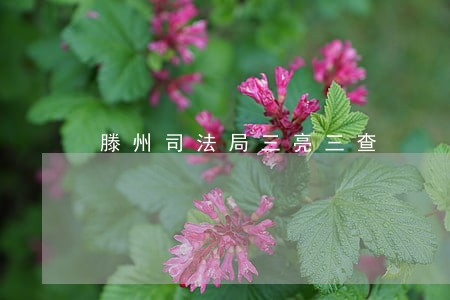 滕州司法局三亮三查 滕州司法局三亮三查