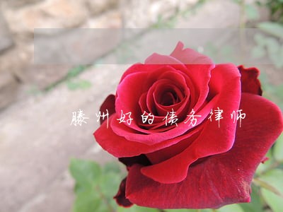滕州好的债务律师 滕州好的债务律师