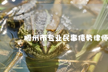 滕州市专业民事债务律师哪家好 滕州市专业民事债务律师哪家好
