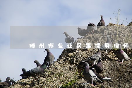 滕州市专业民事债务律师推荐 滕州市专业民事债务律师推荐