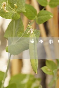 滕州市好的债务律师收费 滕州市好的债务律师收费