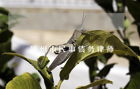 滕州市民事债务律师 滕州市民事债务律师