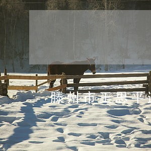 滕州市王思平违法 滕州市王思平违法