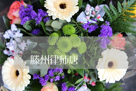 滕州律师唐 滕州律师唐