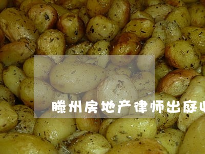 滕州房地产律师出庭收费 滕州房地产律师出庭收费