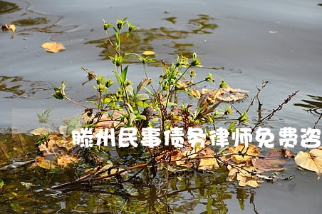 滕州民事债务律师免费咨询 滕州民事债务律师免费咨询