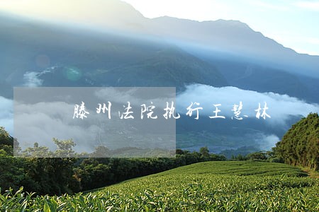 滕州法院执行王慧林