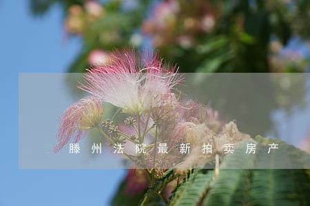 滕州法院最新拍卖房产 滕州法院最新拍卖房产