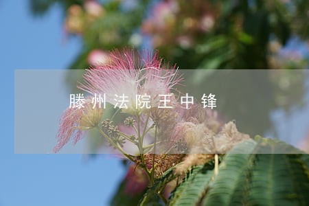 滕州法院王中锋 滕州法院王中锋