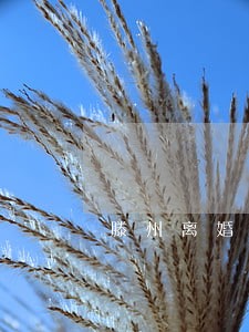 滕州离婚律师在线咨询 滕州离婚律师在线咨询