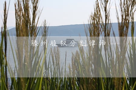 滕州股权分割律师 滕州股权分割律师