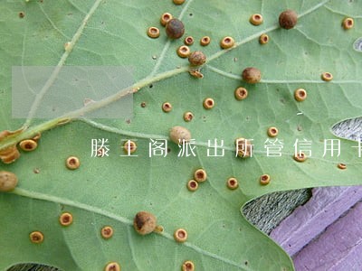 滕王阁派出所管信用卡逾期 滕王阁派出所管信用卡逾期