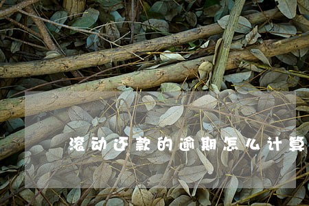 滚动还款的逾期怎么计算 滚动还款的逾期怎么计算