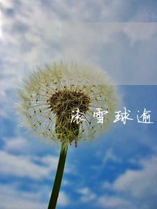 滚雪球逾期人名单 滚雪球逾期人名单
