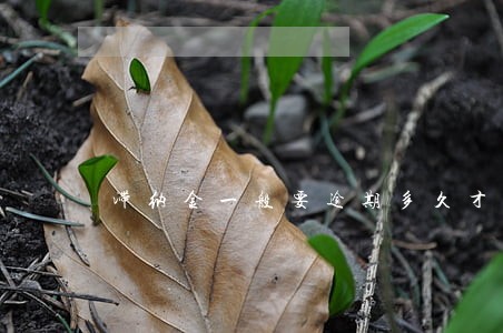 滞纳金一般要逾期多久才会 滞纳金一般要逾期多久才会