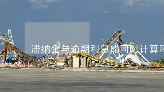 滞纳金与逾期利息能同时计算吗 滞纳金与逾期利息能同时计算吗