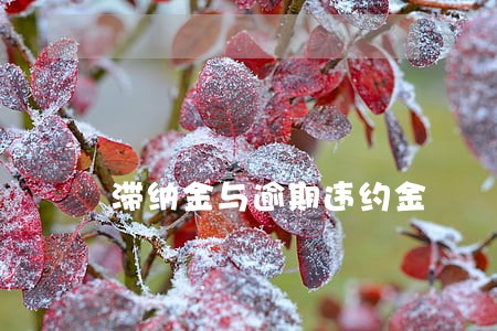 滞纳金与逾期违约金 滞纳金与逾期违约金