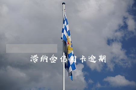 滞纳金信用卡逾期 滞纳金信用卡逾期