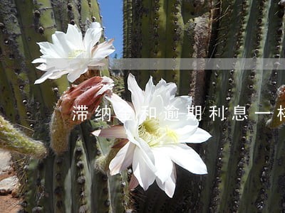 滞纳金和逾期利息一样吗 滞纳金和逾期利息一样吗