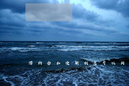 滞纳金和逾期利息可以同时使用吗 滞纳金和逾期利息可以同时使用吗