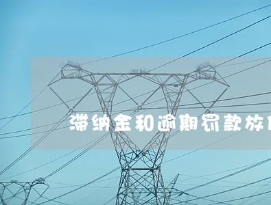 滞纳金和逾期罚款放什么科目 滞纳金和逾期罚款放什么科目