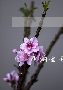 滞纳金和逾期还款违约金 滞纳金和逾期还款违约金