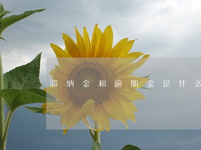 滞纳金和逾期金是什么意思 滞纳金和逾期金是什么意思
