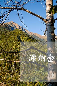 滞纳金怎么算逾期 滞纳金怎么算逾期