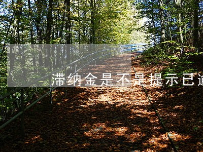 滞纳金是不是提示已逾期 滞纳金是不是提示已逾期