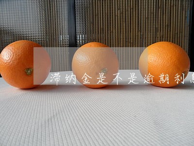 滞纳金是不是逾期利息 滞纳金是不是逾期利息