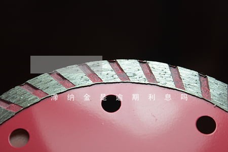 滞纳金是逾期利息吗