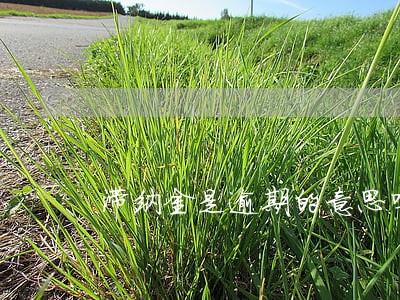 滞纳金是逾期的意思吗 滞纳金是逾期的意思吗