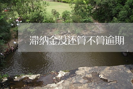 滞纳金没还算不算逾期 滞纳金没还算不算逾期