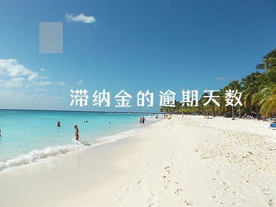 滞纳金的逾期天数 滞纳金的逾期天数