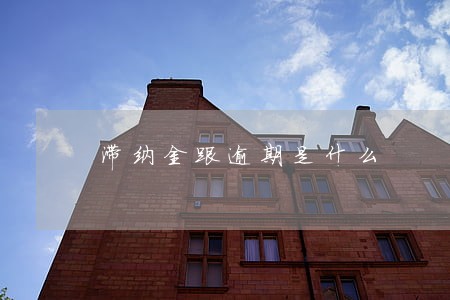 滞纳金跟逾期是什么 滞纳金跟逾期是什么