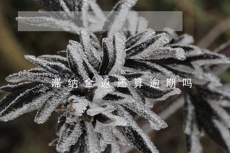 滞纳金返还算逾期吗 滞纳金返还算逾期吗