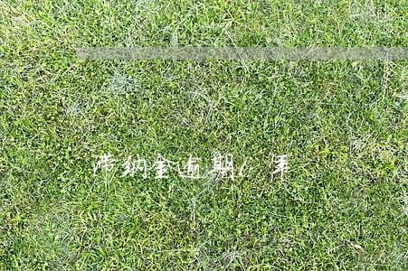 滞纳金逾期1年 滞纳金逾期1年