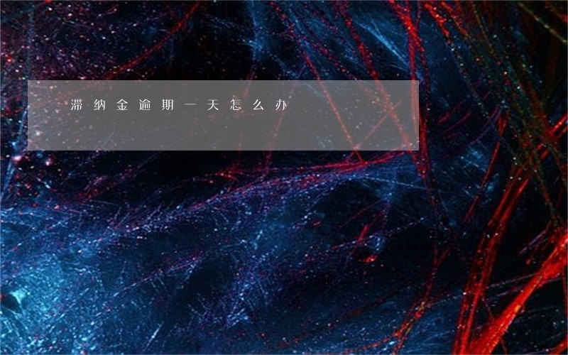 滞纳金逾期一天怎么办 滞纳金逾期一天怎么办