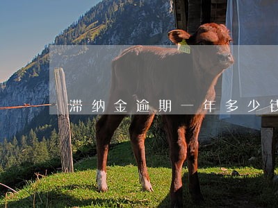 滞纳金逾期一年多少钱 滞纳金逾期一年多少钱
