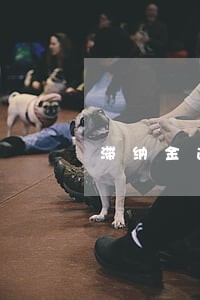 滞纳金逾期一般几年 滞纳金逾期一般几年