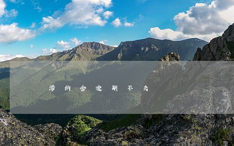 滞纳金逾期不交 滞纳金逾期不交