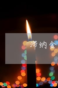 滞纳金逾期了什么意思 滞纳金逾期了什么意思