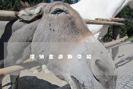 滞纳金逾期交税 滞纳金逾期交税