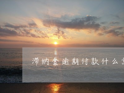 滞纳金逾期付款什么意思 滞纳金逾期付款什么意思